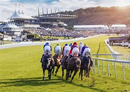 Image result for Goodwood Racing Company Wii