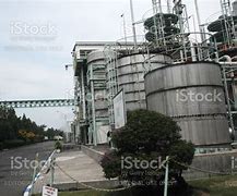 Image result for MSG Processing Plant