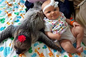 Image result for Alia Sid the Sloth