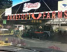 Image result for 12 Spies Farms Barefoot Blush