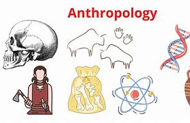 Image result for Anthropology