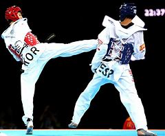 Image result for Taekwondo Equipment