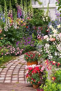 Image result for Beautiful Home Gardens Design