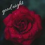 Image result for 3D Good Night Roses