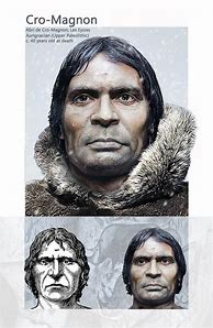 Image result for Who Are Cro-Magnon Man