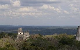 Image result for Lake Tikal