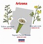 Image result for Tourist Map of Arizona