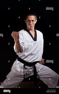 Image result for Martial Arts Master