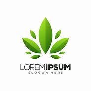 Image result for Leaf Logo Design