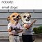 Image result for Need More Dogs Meme