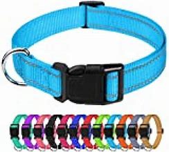 Image result for Puppy Dog Collar