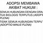 Image result for adoposis