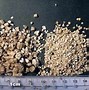 Image result for Costco Bird Seed