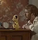 Image result for Sooty Butch