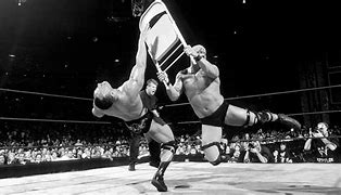 Image result for WWE Wrestling