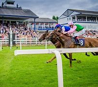 Image result for Windsor Racecourse