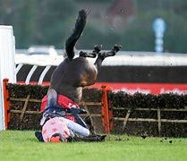 Image result for Two Horse Race