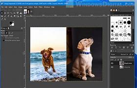 Image result for How to Compare Photos Side by Side in Windows and Zoom