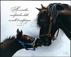 Image result for Biblical Horse Quotes