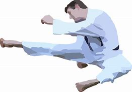 Image result for Karate Front Kick