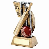 Image result for Laser-Cut Cricket Trophy