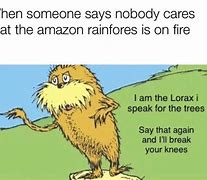 Image result for Amazon Rainforest Burning Memes