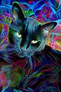Image result for Trippy Galaxy and Weed Cat