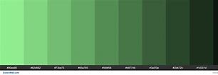 Image result for Light and Dark Green