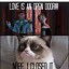 Image result for Scary Cute Cat Memes Clean