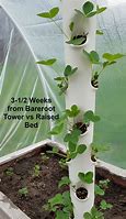 Image result for Hydroponic Strawberry Tower