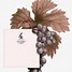 Image result for Grape Vine Black and White