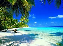 Image result for Tropical Island Beach Wallpaper
