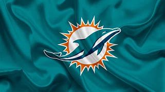 Image result for Miami Dolphins New Logo