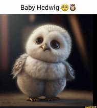 Image result for Hedwig Meme