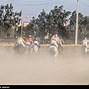 Image result for Meydan Horse Racing Dubai