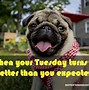 Image result for When Tuesdays Are Mondays Meme