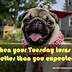 Image result for Turn Up Tuesday Sales Meme