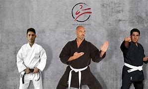 Image result for Karate Gi Art