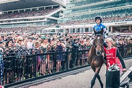 Image result for Melbourne Cup Fashions On the Field
