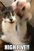 Image result for Self High Five Meme