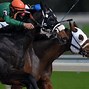 Image result for Horse Euthanized at Royal Ascot Race