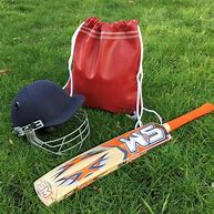 Image result for Cricket Bag