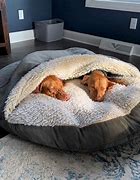 Image result for Comfort Dog Bed