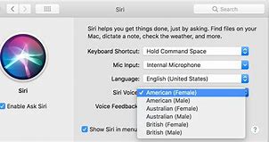 Image result for Siri Original Voice