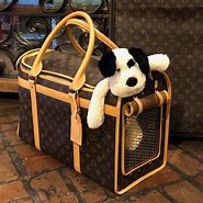 Image result for Louis Vuitton Replica Pet Carrier