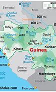Image result for guinea