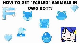 Image result for Owo Bot Animals