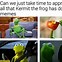 Image result for Kermit Memes Exploshin
