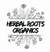 Image result for Nexus Q Herbal