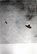 Image result for tapanui ufo dr jan pajak